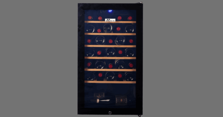 Best Wine Fridge: The Perfect Addition for Every Wine Lover