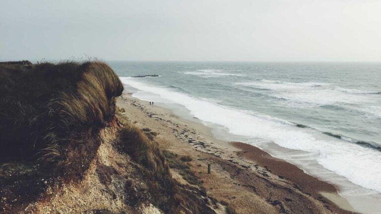 Why Should Users Avoid Cricbet99 Hack Offers?