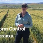 Laser 247: Comprehensive Guide to India's Premier Laser Services Platform