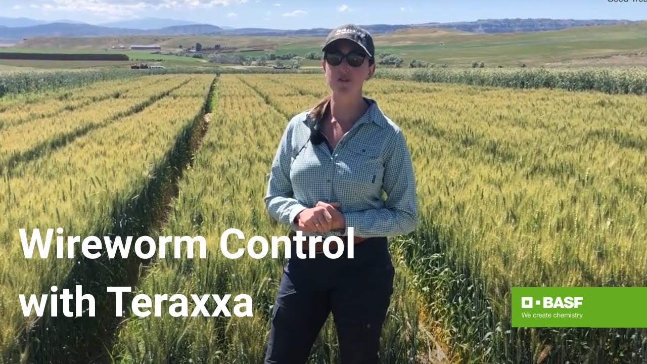 Laser 247: Comprehensive Guide to India's Premier Laser Services Platform